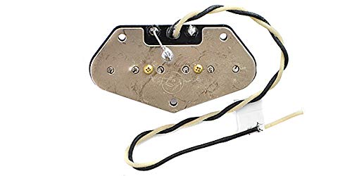 Amazon.co.jp: LINDY FRALIN リンディーフレーリン ギター用
